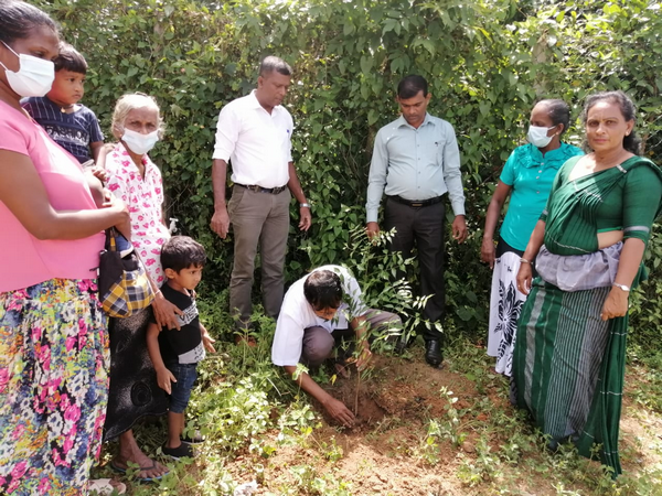National Plantation Day Environment Program 2022.09.17 - 23 Rukropana Week / Homagama